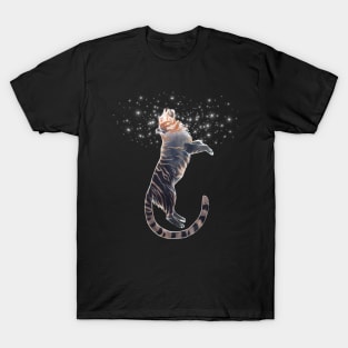 Floating T-Shirt